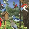 Cobble Hill Around the Birdfeeder (tray) | 35 Piece Tray- Tray Puzzles | Birds