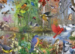 Cobble Hill Birds of the Season | 1000 Piece- 1000 Piece | Countryscape