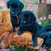 Cobble Hill Black Lab Puppies (tray) | 35 Piece Tray- Tray Puzzles | Dogs