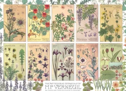 Cobble Hill Botanicals by Verneuil | 1000 Piece- 1000 Piece | Collage - Miniscene