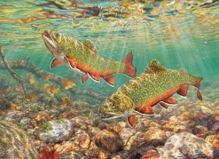 Cobble Hill Brook Trout | 1000 Piece- 1000 Piece | Waterscape