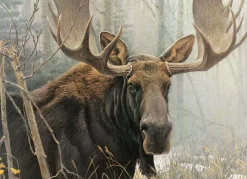 Cobble Hill Bull Moose | 500 Piece- 500 Piece | Mountainscape