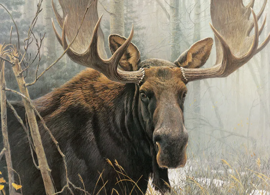 Cobble Hill Bull Moose | 500 Piece- 500 Piece | Mountainscape