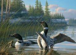 Cobble Hill Common Loons | 1000 Piece- 1000 Piece | Countryscape