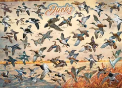 Cobble Hill Ducks of North America | 1000 Piece- 1000 Piece | Birds