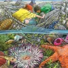 Cobble Hill Exploring the Seashore (tray) | 35 Piece Tray- Tray Puzzles | Waterscape