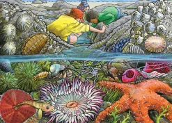 Cobble Hill Exploring the Seashore (tray) | 35 Piece Tray- Tray Puzzles | Waterscape