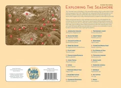 Cobble Hill Exploring the Seashore (tray) | 35 Piece Tray- Tray Puzzles | Waterscape