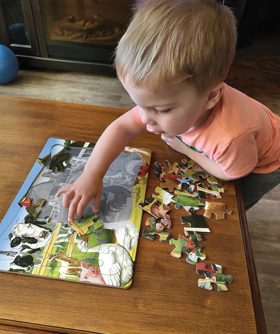 Cobble Hill Farmyard Welcome (tray) | 35 Piece Tray- Tray Puzzles | Birds