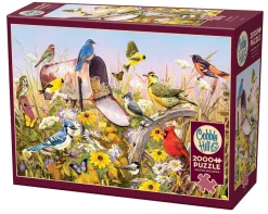 Cobble Hill Field Song | 2000 Piece- 2000 Piece | Birds
