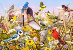 Cobble Hill Field Song | 2000 Piece- 2000 Piece | Birds