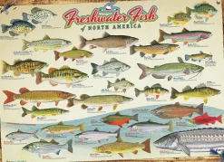 Cobble Hill Freshwater Fish of North America | 1000 Piece- 1000 Piece | Waterscape