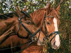 Cobble Hill Friends Forever | Easy Handling 275 Piece- Easy Handling 275 | Horses