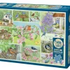 Cobble Hill Garden Birds in Spring | 500 Piece- 500 Piece