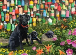 Cobble Hill Good Buoys | 500 Piece- 500 Piece | Dogs