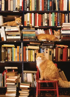 Cobble Hill Gotham Bookstore Cats | Discontinued 500 Piece (Old Big Box)- 500 Piece | Books
