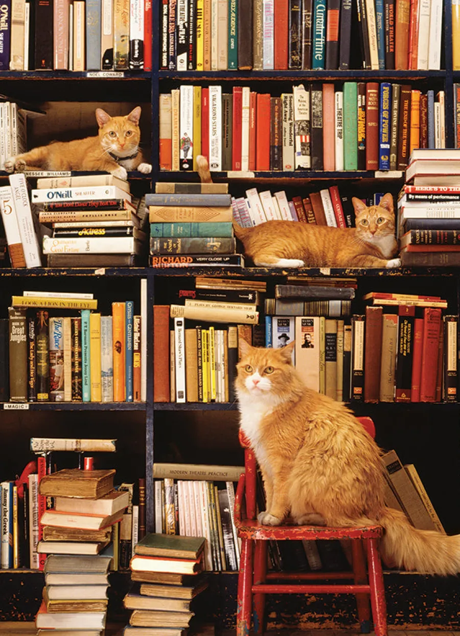 Cobble Hill Gotham Bookstore Cats | Discontinued 500 Piece (Old Big Box)- 500 Piece | Books