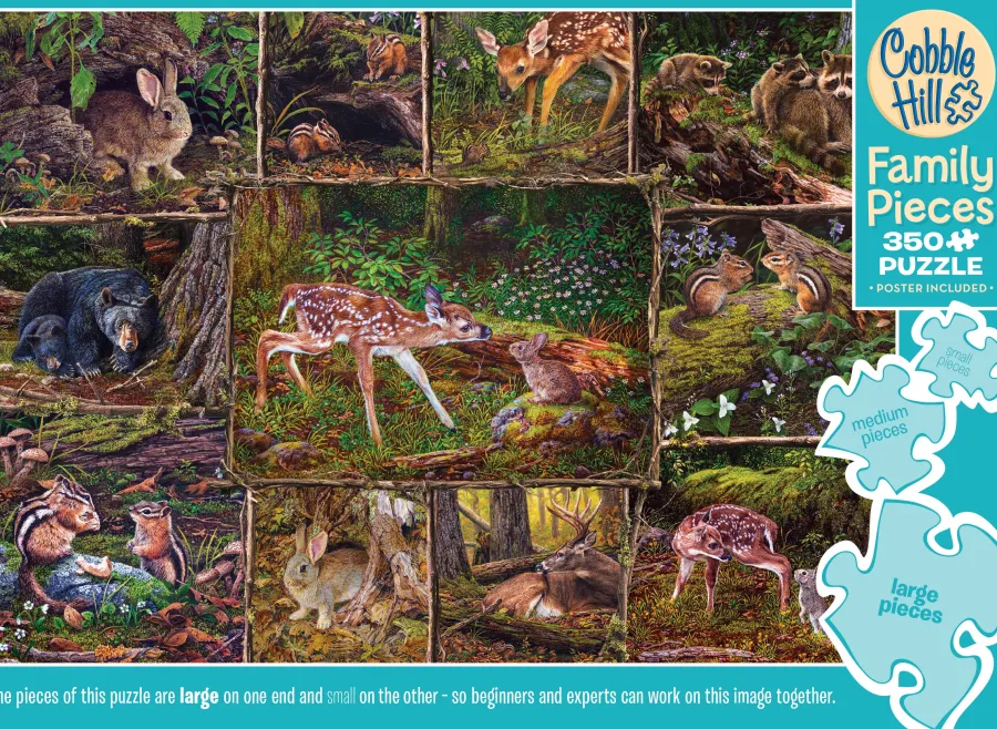 Cobble Hill Into the Woods (Family) | Family Pieces 350- Family Pieces 350 | Mountainscape