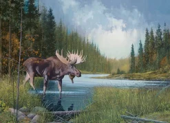 Cobble Hill Moose Lake | 1000 Piece- 1000 Piece | Mountainscape