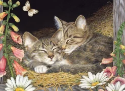 Cobble Hill Morning Snooze (tray) | 35 Piece Tray- Tray Puzzles | Cats