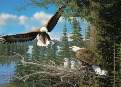 Cobble Hill Nesting Eagles | 1000 Piece- 1000 Piece | Mountainscape