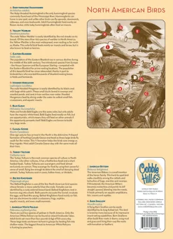 Cobble Hill North American Birds (tray) | 35 Piece Tray- Tray Puzzles | Mountainscape