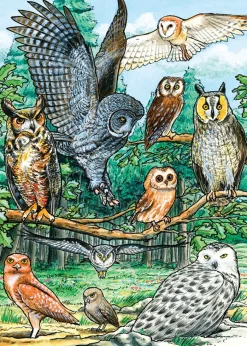 Cobble Hill North American Owls (tray) | 35 Piece Tray- Tray Puzzles | Mountainscape