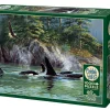 Cobble Hill Orcas | 1000 Piece- 1000 Piece | Waterscape