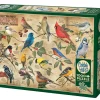 Cobble Hill Popular Backyard Wild Birds of North America | 1000 Piece- 1000 Piece | Birds