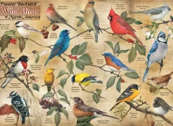 Cobble Hill Popular Backyard Wild Birds of North America | 1000 Piece- 1000 Piece | Birds