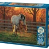 Cobble Hill Quiet Time | 500 Piece- 500 Piece | Horses