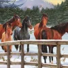 Cobble Hill Snowy Pasture (tray) | 35 Piece Tray- Tray Puzzles | Horses