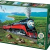 Cobble Hill Southern Pacific | Discontinued 1000 Piece (Old Big Box)- 1000 Piece | Father's Day