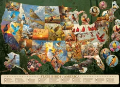 Cobble Hill State Birds of America | 1000 Piece- 1000 Piece | Birds