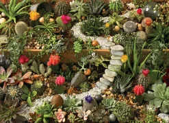 Cobble Hill Succulent Garden | 1000 Piece- 1000 Piece | Flowers / Gardens