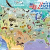 Cobble Hill USA Map (tray) | 35 Piece Tray- Tray Puzzles