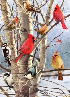Cobble Hill Winter Birds | 1000 Piece- 1000 Piece | Birds