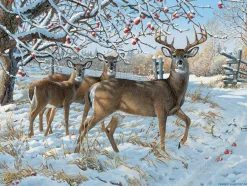 Cobble Hill Winter Deer | 500 Piece- 500 Piece | Wildlife