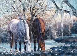 Cobble Hill Winter's Beauty | 500 Piece- 500 Piece | Waterscape